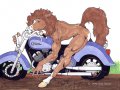 cs-race-horse-3-col-sm.jpg